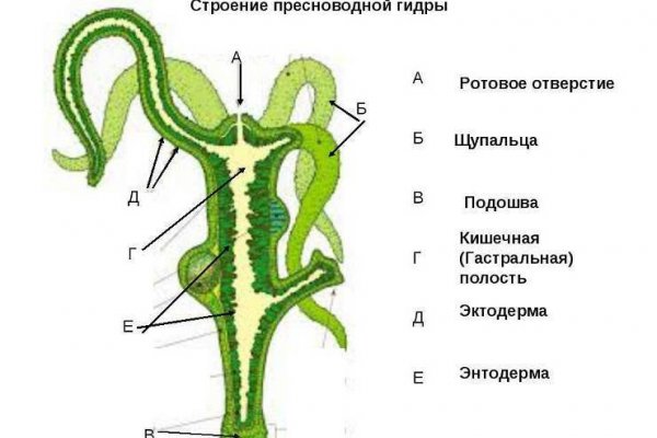 Маркетплейса omg